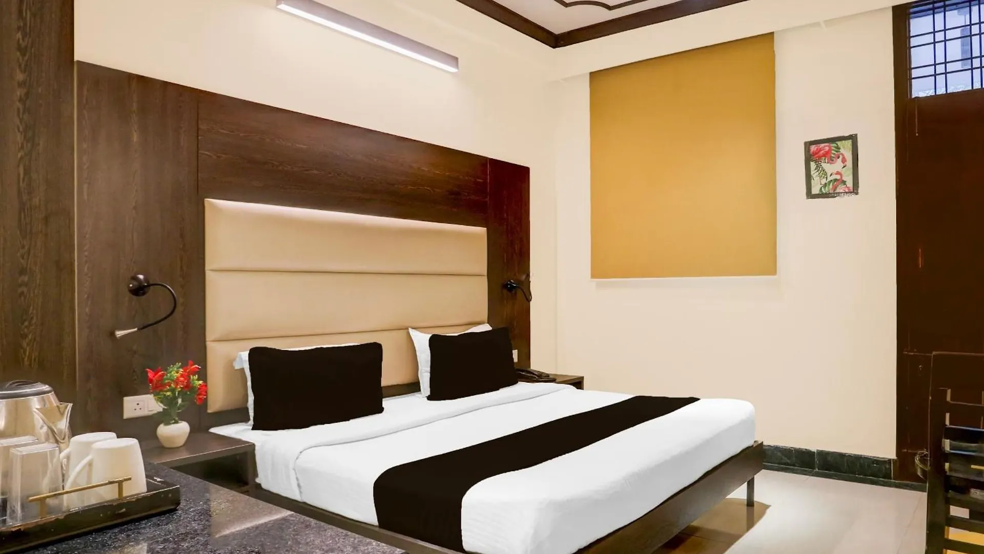 Hotel Aerotech Plaza New Delhi